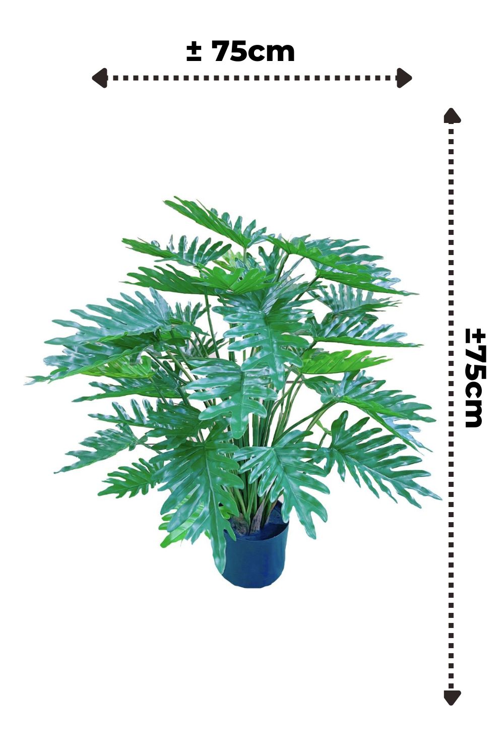 Dimensions du Philodendron Artificiel 75cm