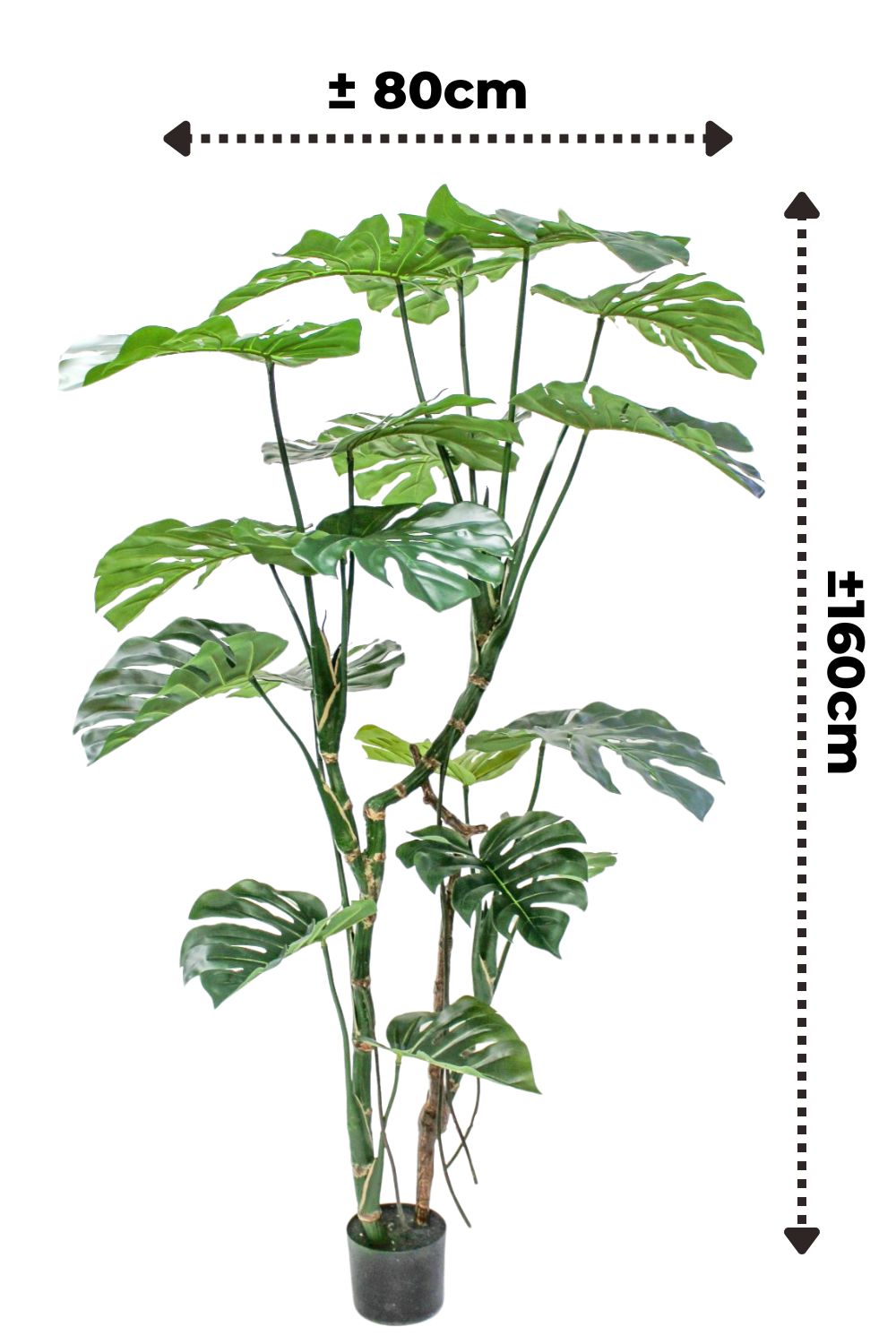 Monstera Artificielle 160 cm