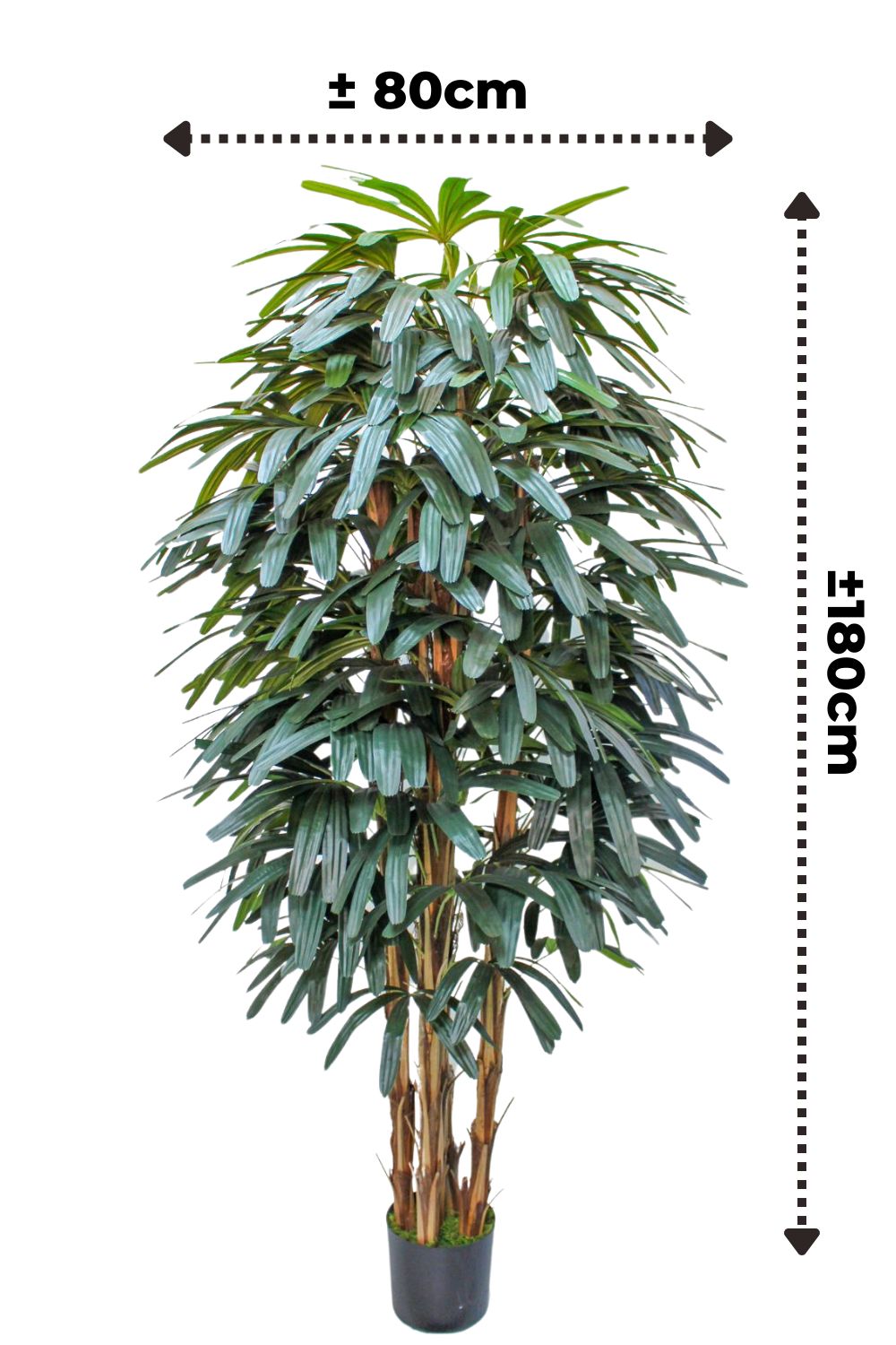 Raphis palmier artificiel 180 cm