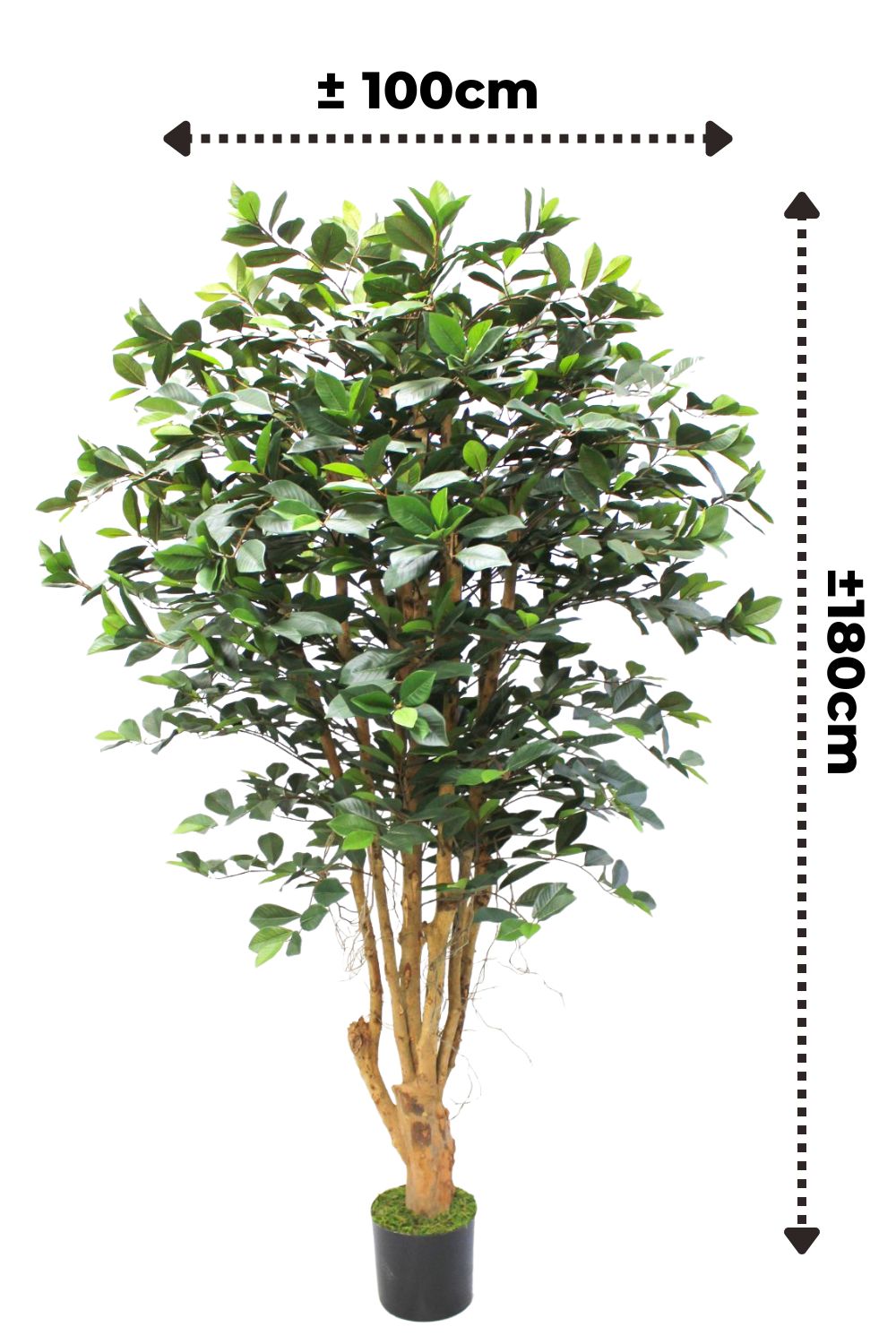 Ficus artificiel 180 cm