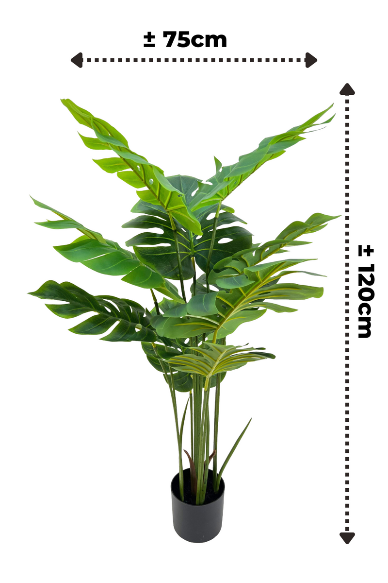 Dimensions de la Monstera Artificielle 120cm