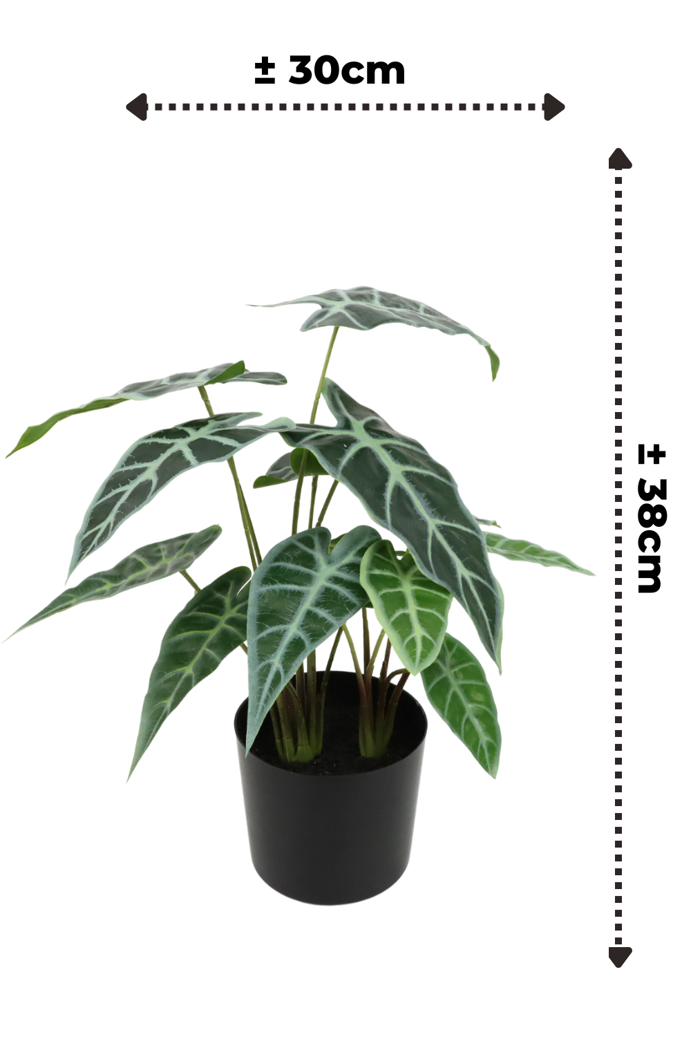 Dimensions du Caladium Artificiel 38cm