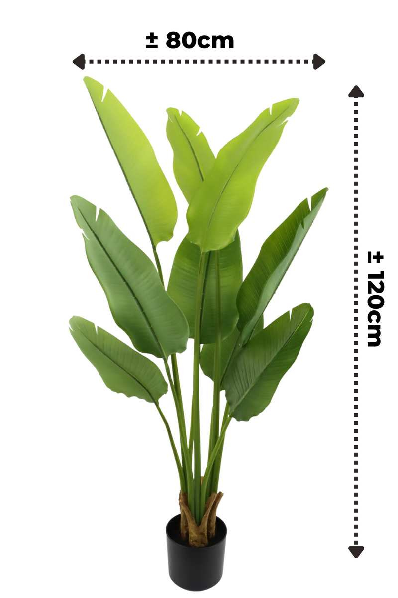 Dimensions de la Strelitzia Artificielle 120cm