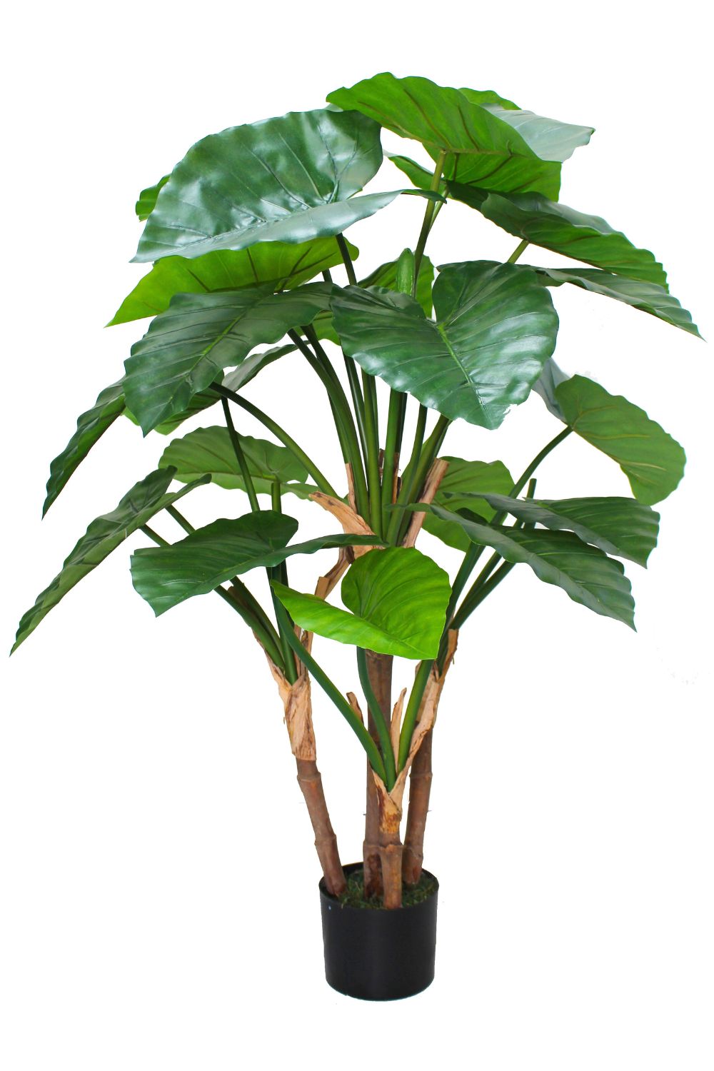 Alocasia Artificielle 140cm