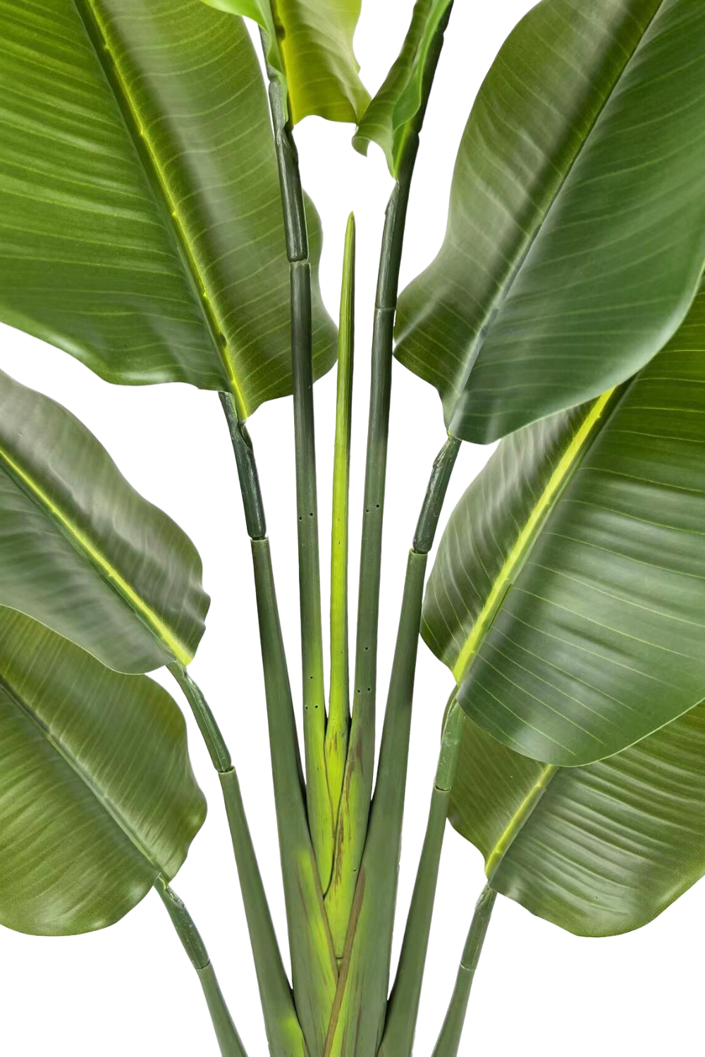 Feuilles de la Strelitzia Artificielle 140cm