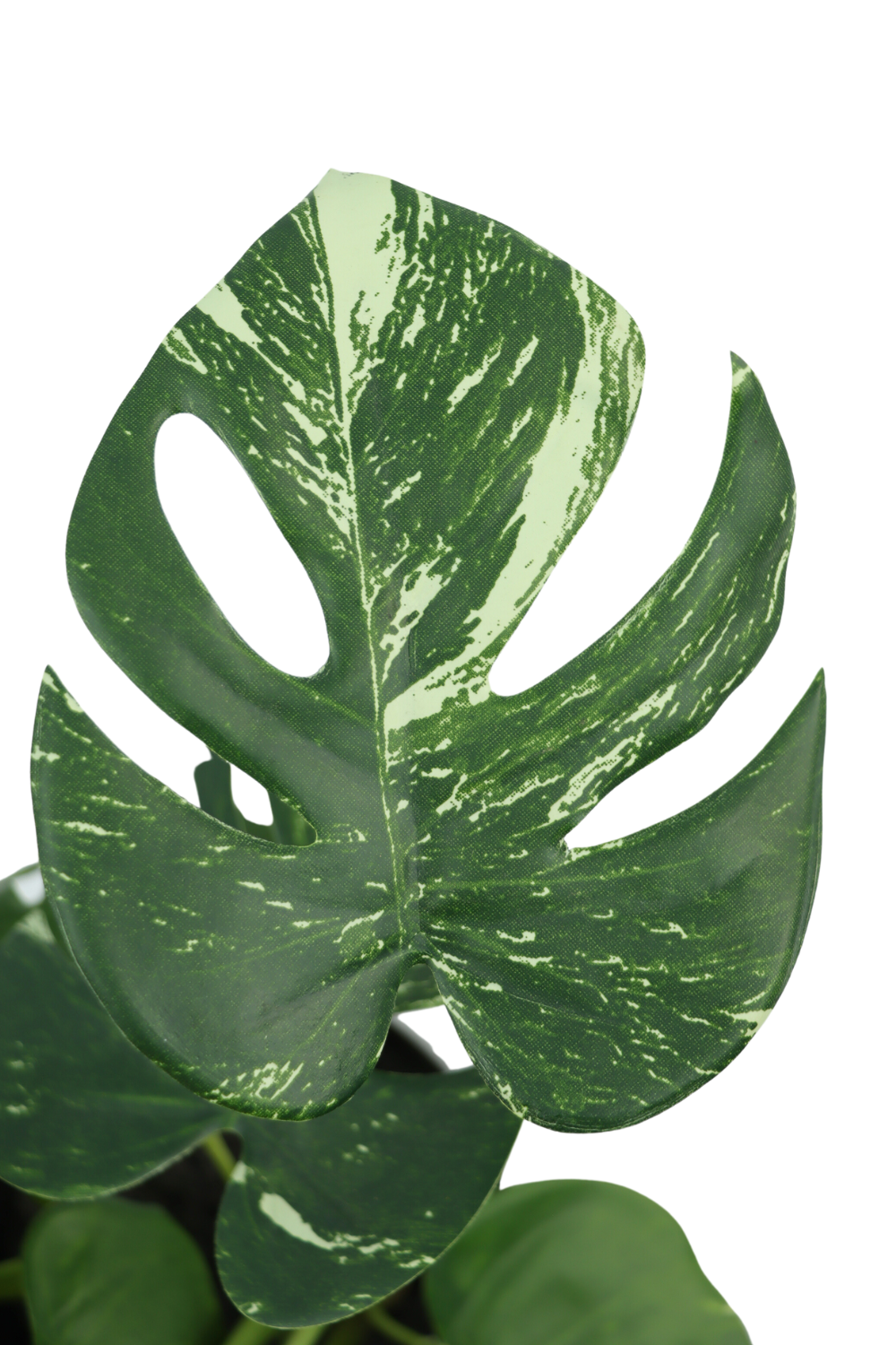 Monstera artificielle 40 cm