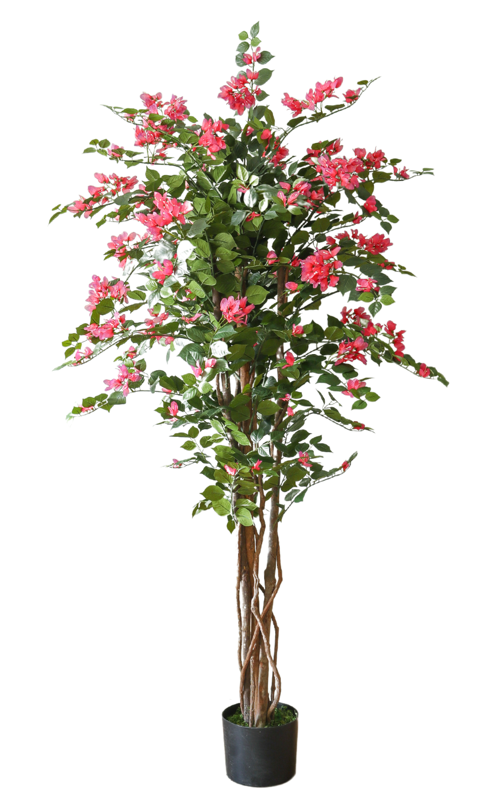 Bougainvillier Artificiel 150 cm