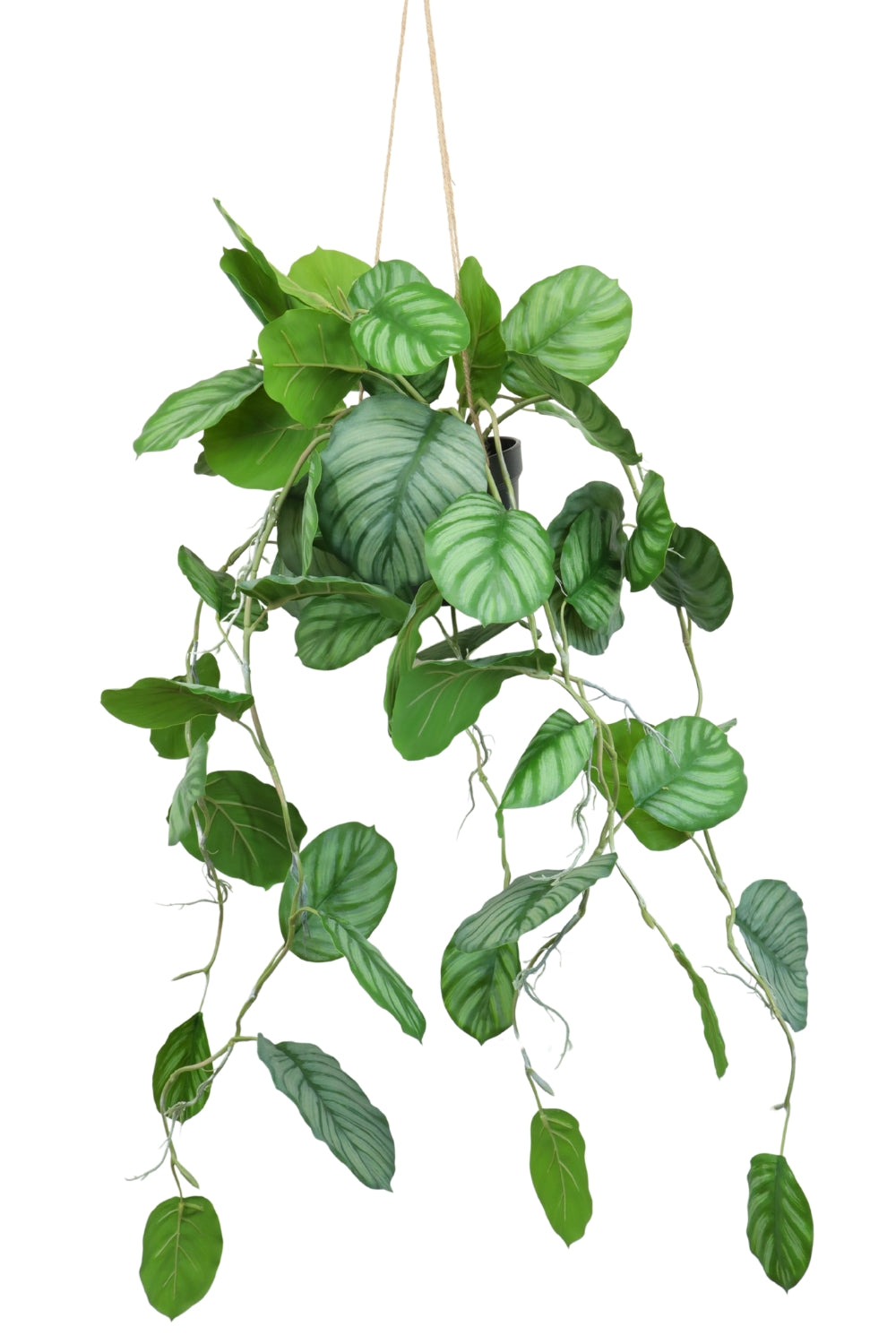 Calathea Artificielle Suspendue 95cm