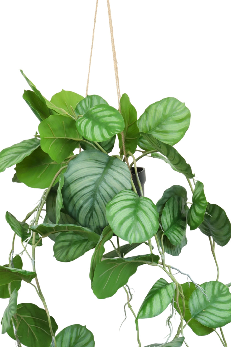Détails du pot de la Calathea Artificielle Suspendue 95cm