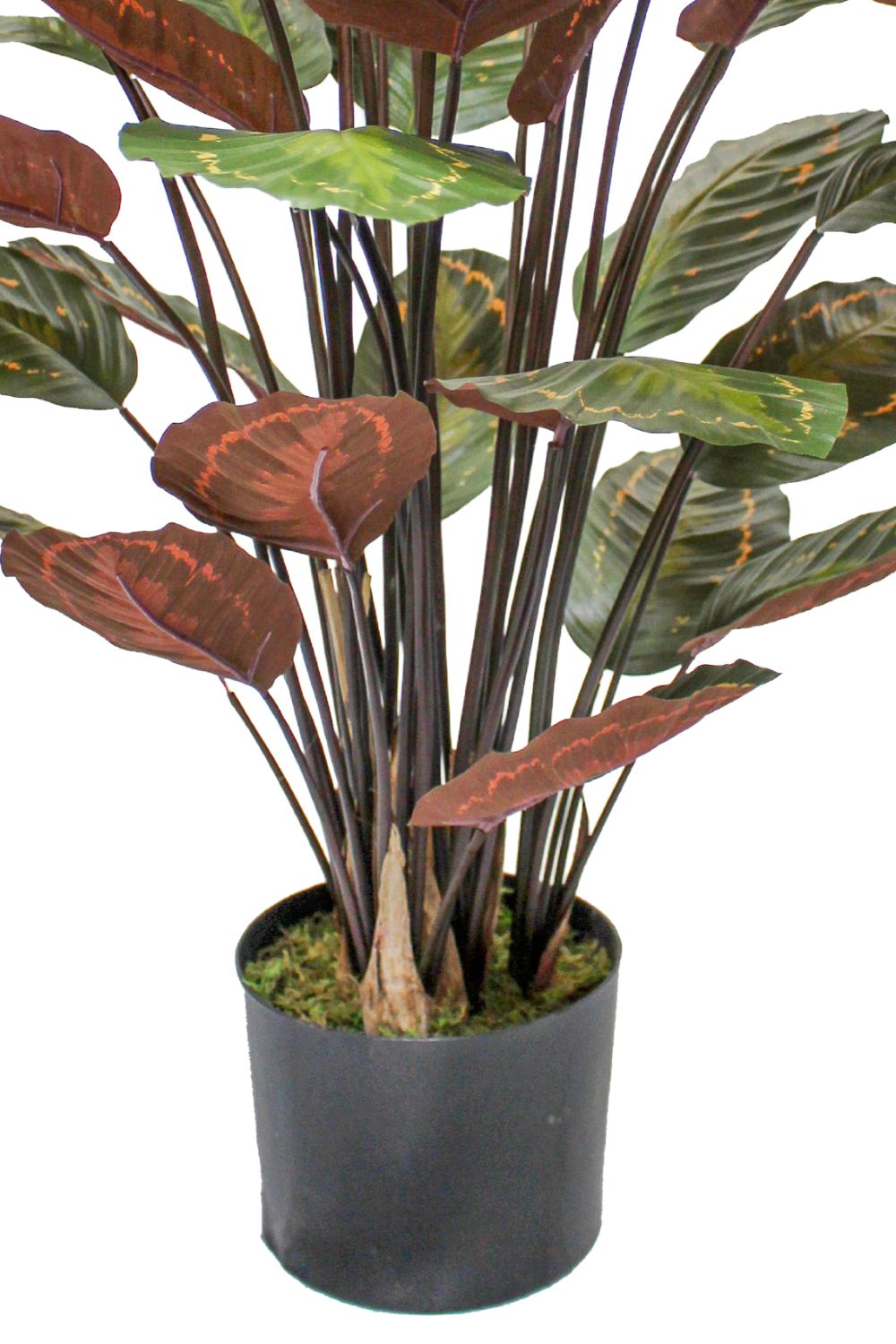 Calathea artificielle 90 cm