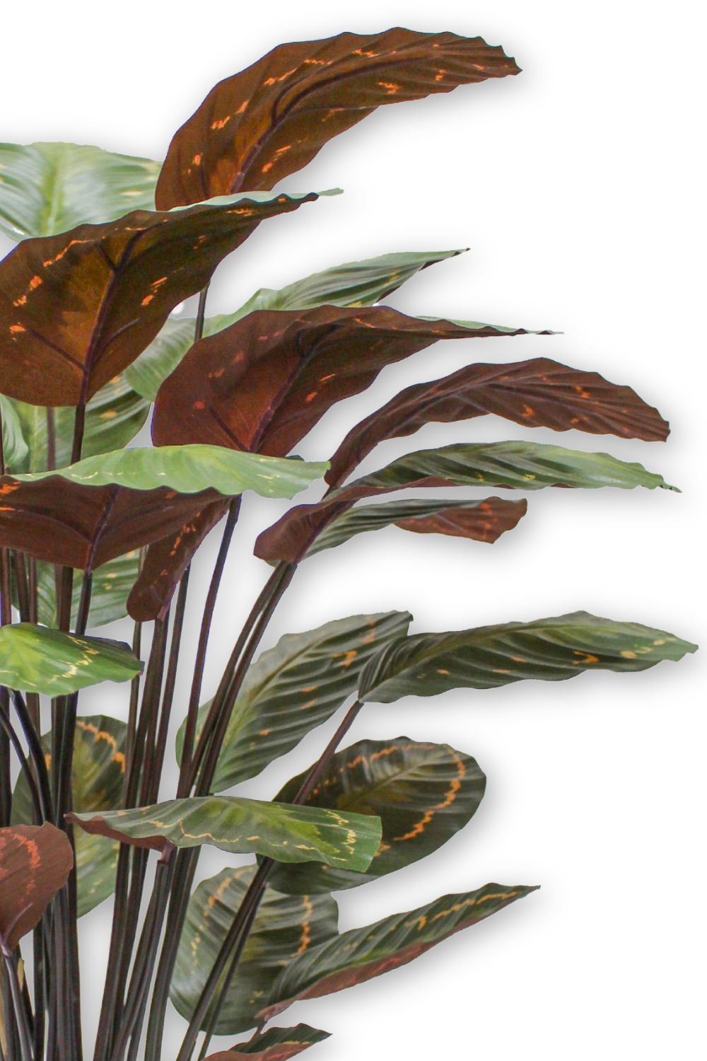 Calathea artificielle 90 cm