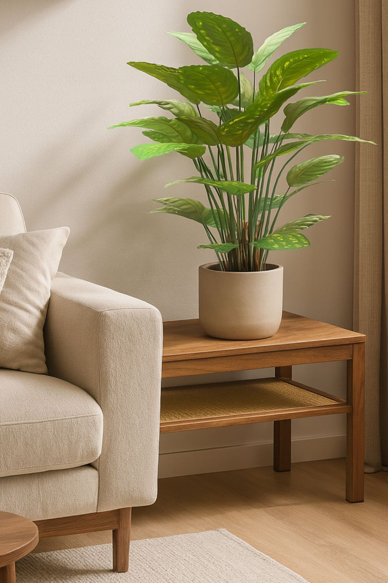 Photo d’ambiance de la Calathea Artificielle 70cm