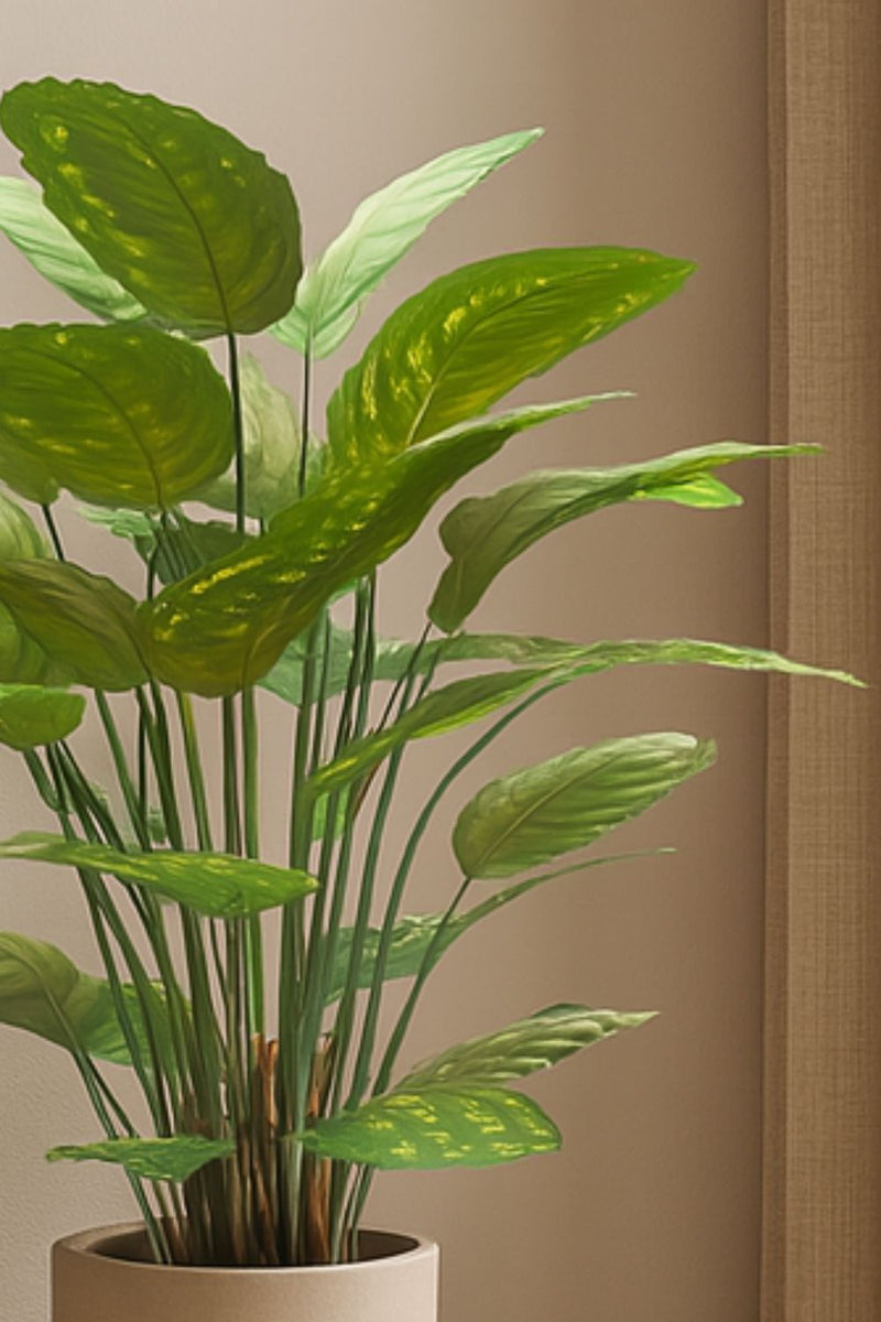 Détails de la Calathea Artificielle 70cm