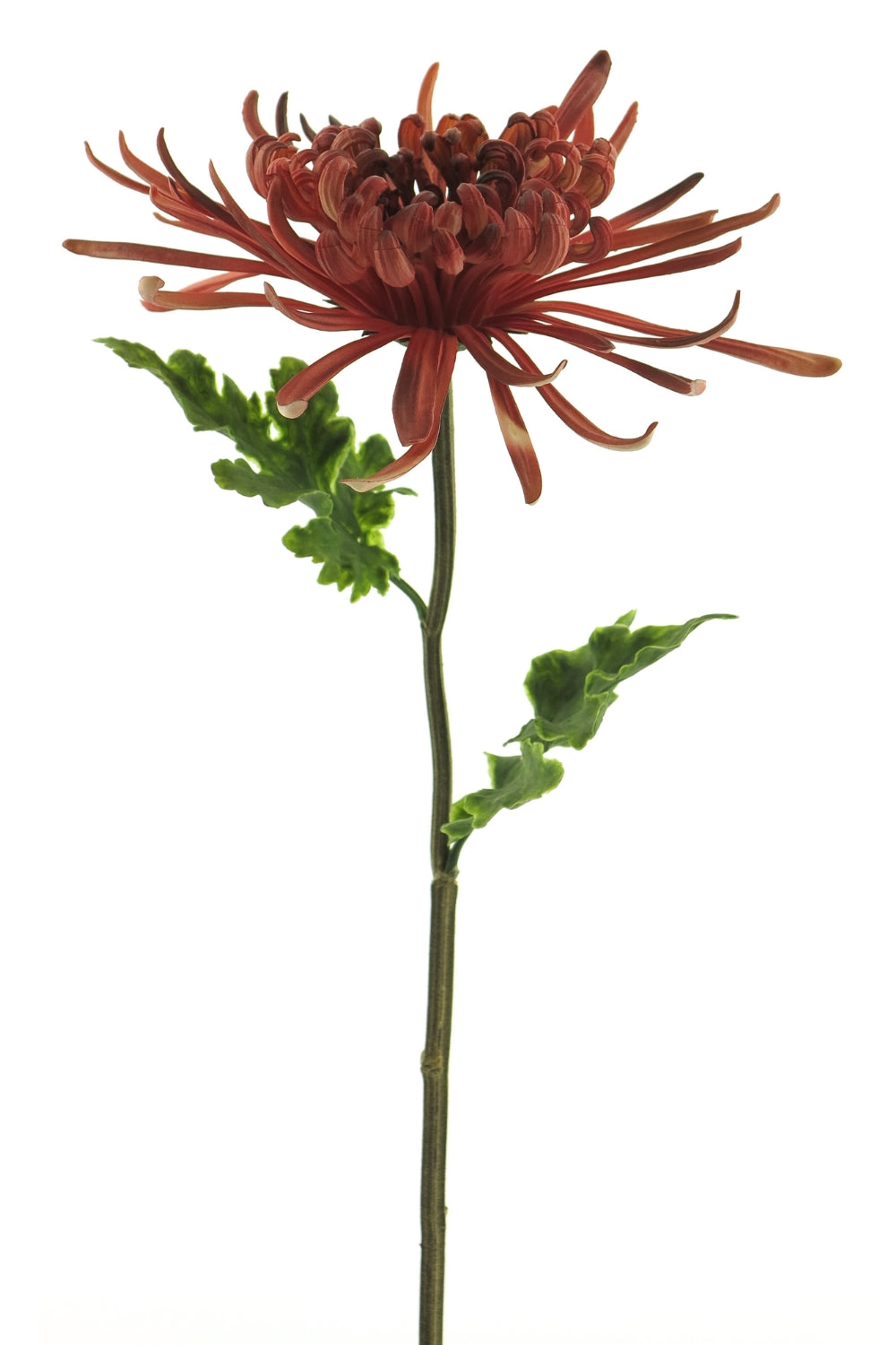 Chrysanthème Monaco Fleur Artificielle 68cm Bourgogne