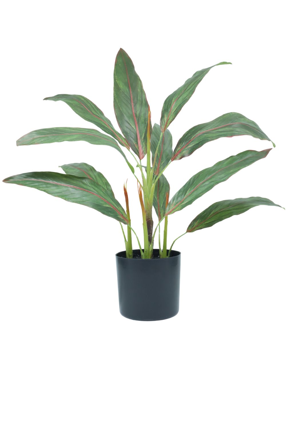 Cordyline artificielle 50 cm