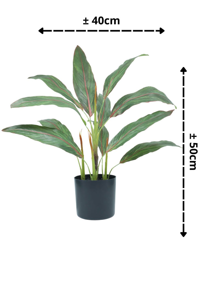 Cordyline artificielle 50 cm