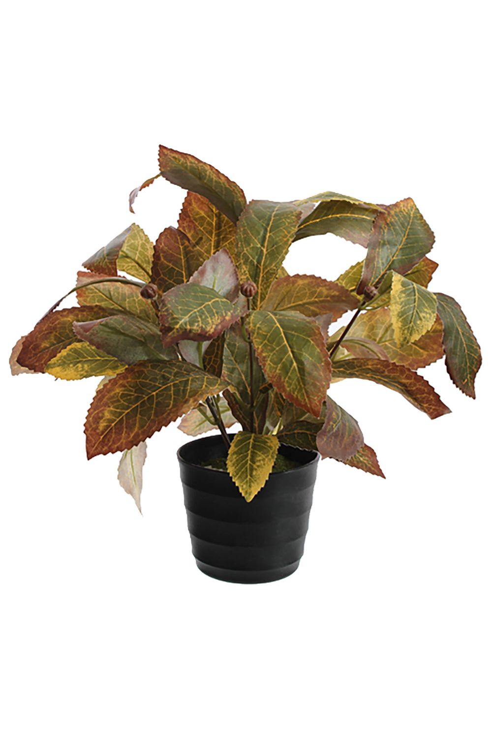 Croton artificiel 25 cm