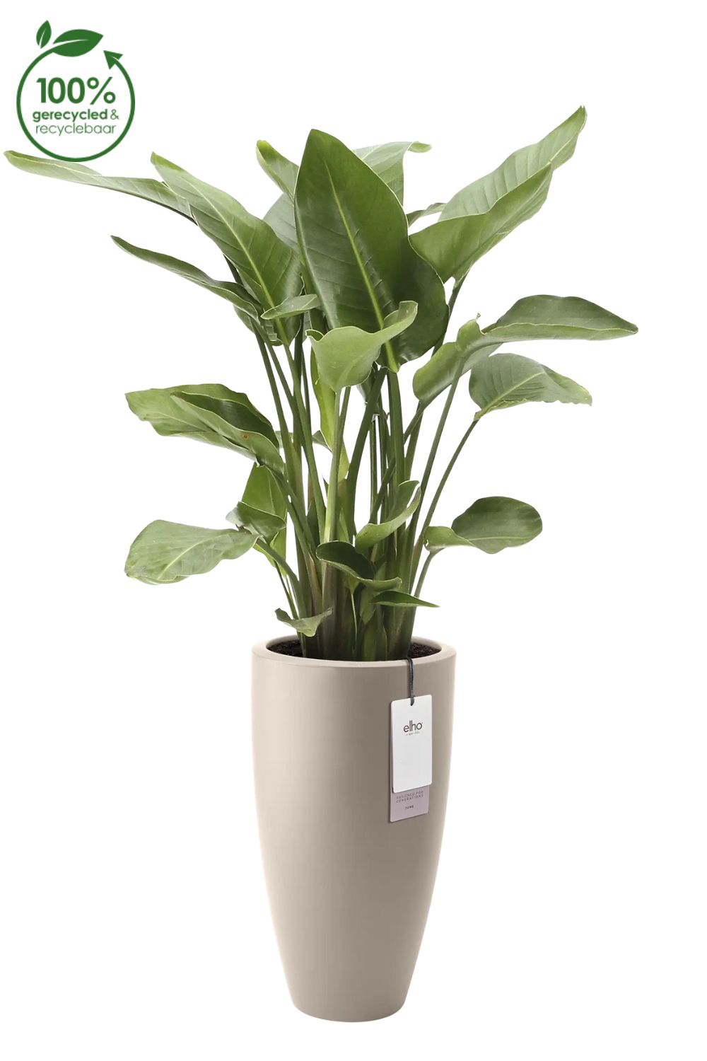 Pot de fleur Elho June Round High 30 cm Beige Équilibré