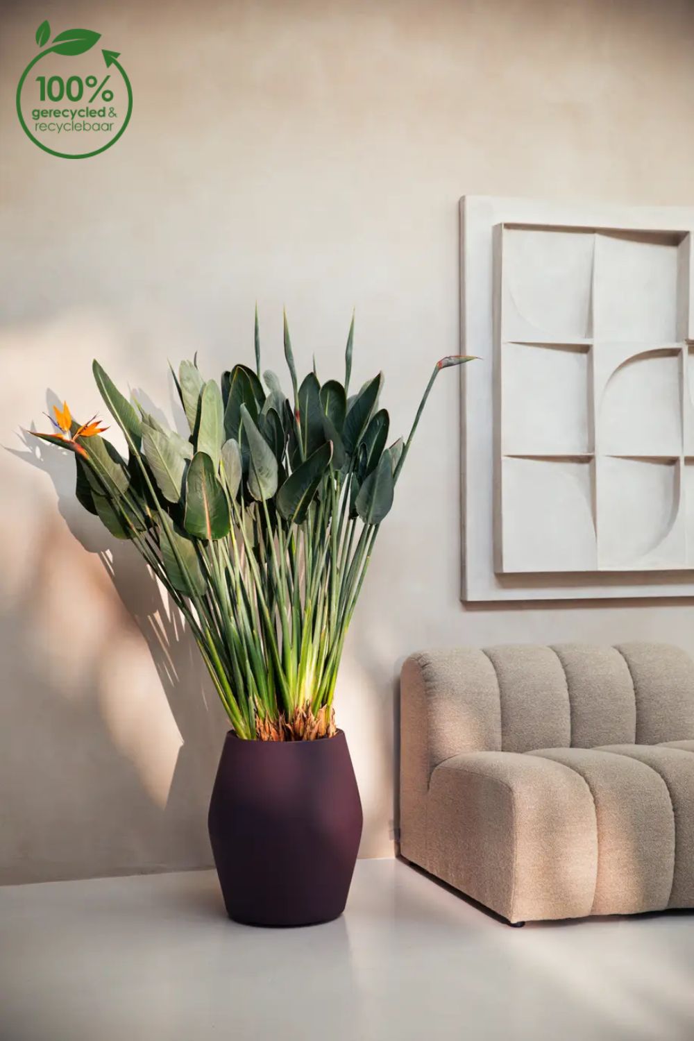 Photo d'ambiance du Pot de fleur Elho June Split High 46 cm Prune Vintage