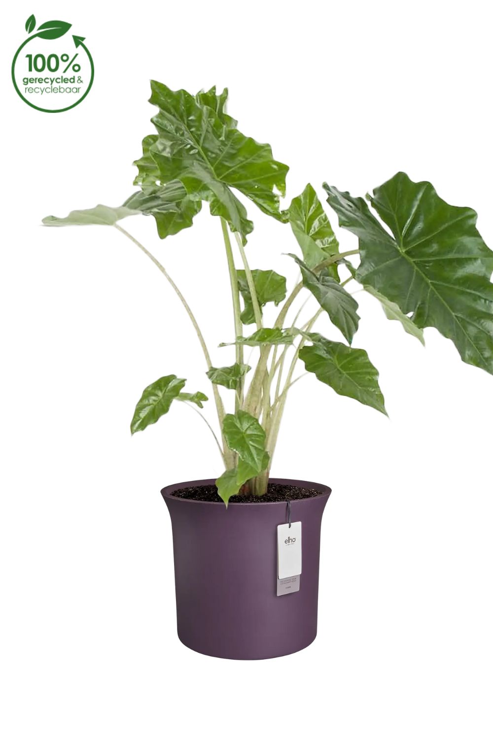 Pot de fleur Elho June Tulip 39 cm Prune Vintage