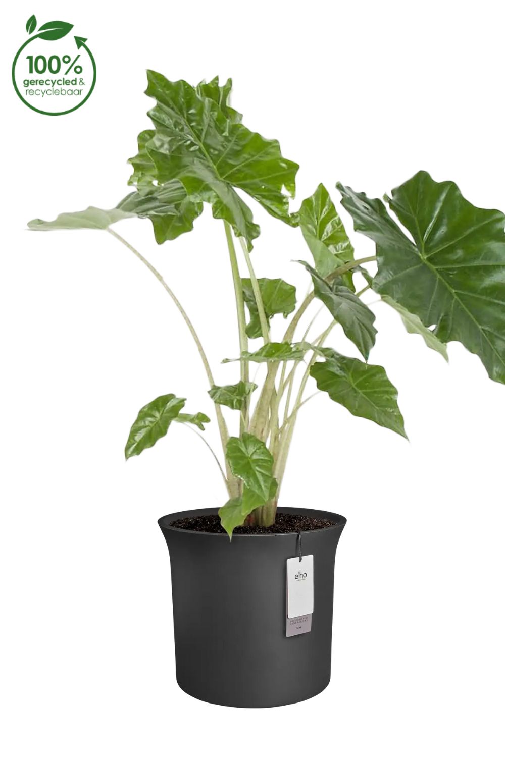 Pot de fleur Elho June Tulip 39 cm Noir