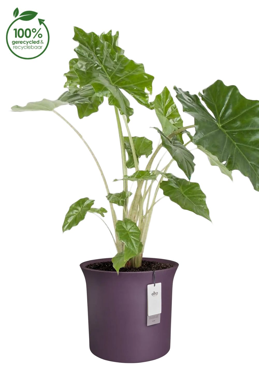 Pot de fleur Elho June Tulip 47 cm Prune Vintage