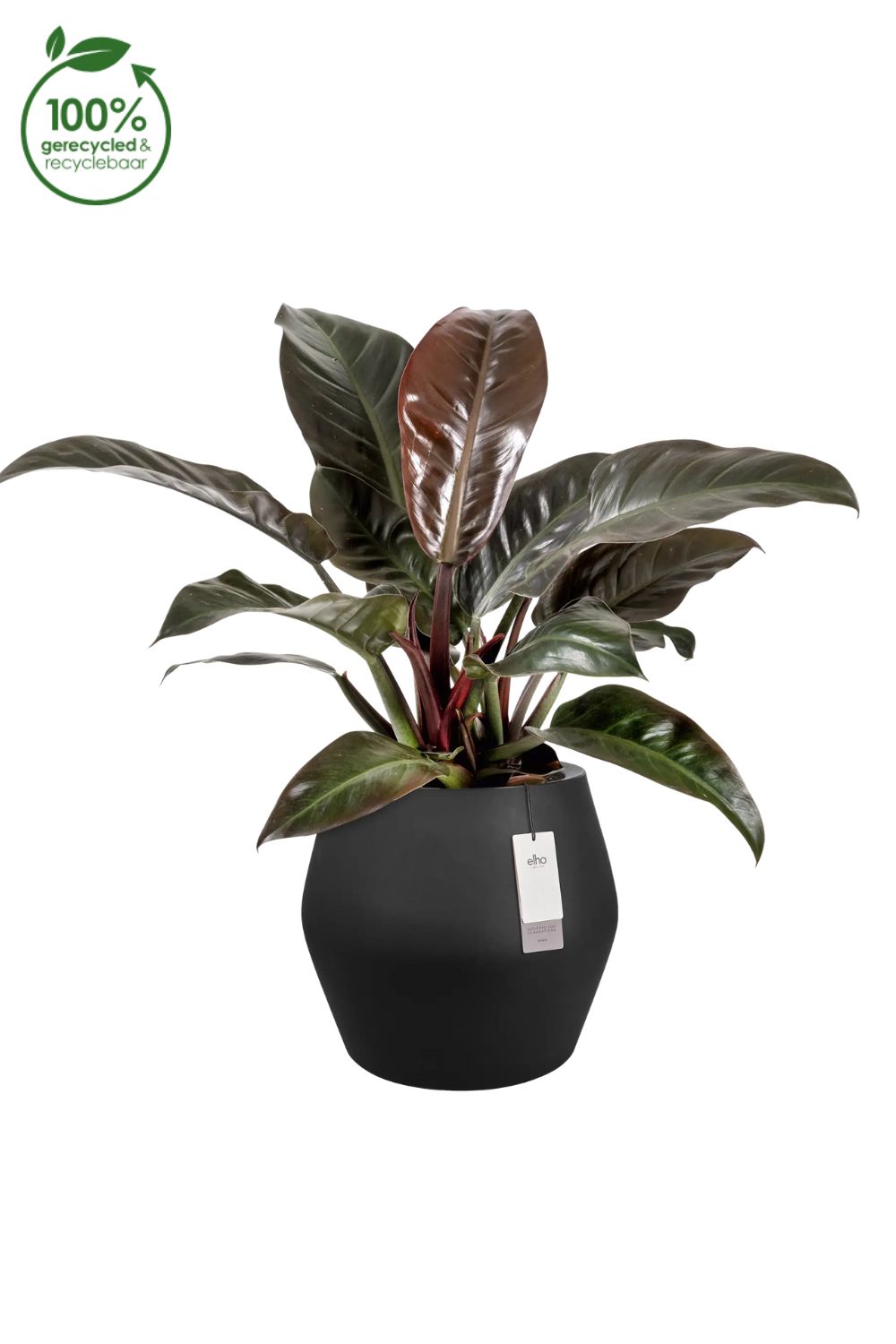 Pot de fleur Elho June Split Low 42 cm Noir