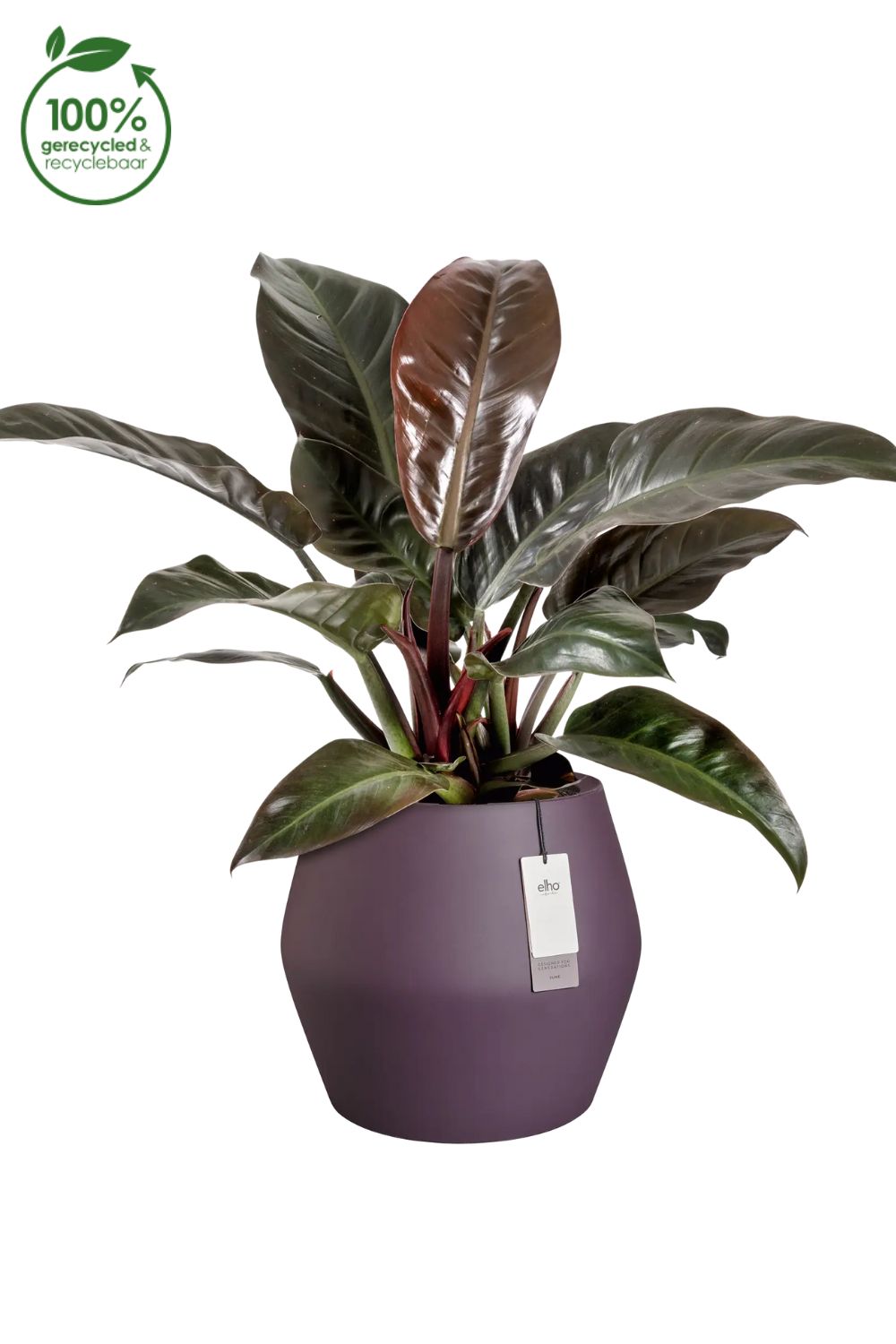 Pot de fleur Elho June Split Low 42 cm Prune Vintage