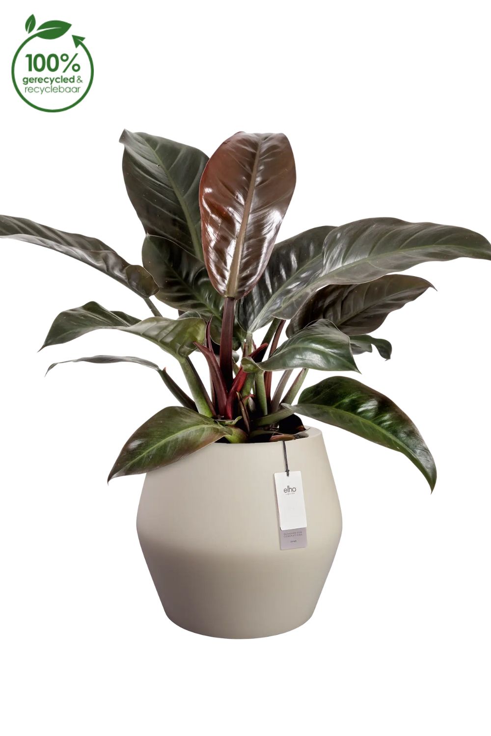 Pot de fleur Elho June Split Low 42 cm Balanced Beige