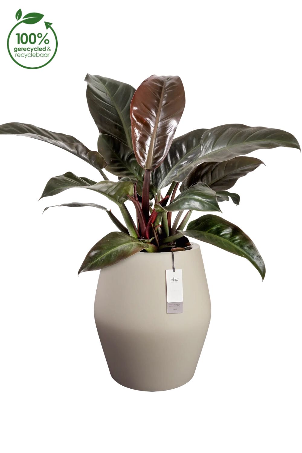 Pot de fleur Elho June Split Haut 53 cm Beige Équilibré