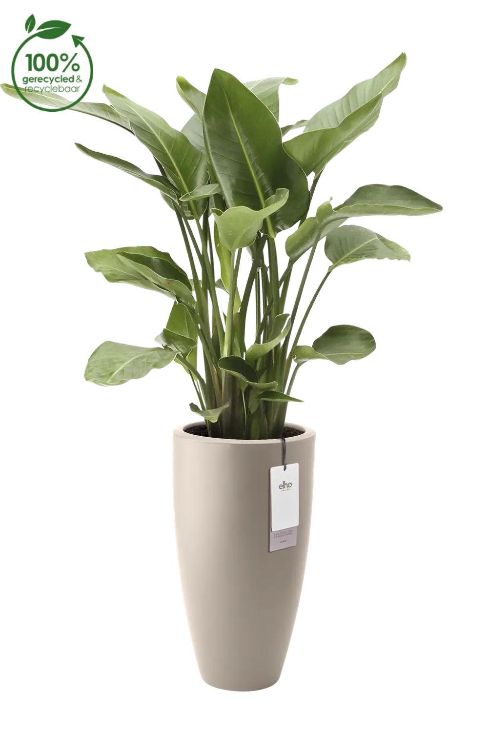 Pot de fleur Elho June Round High 40cm Beige Équilibré