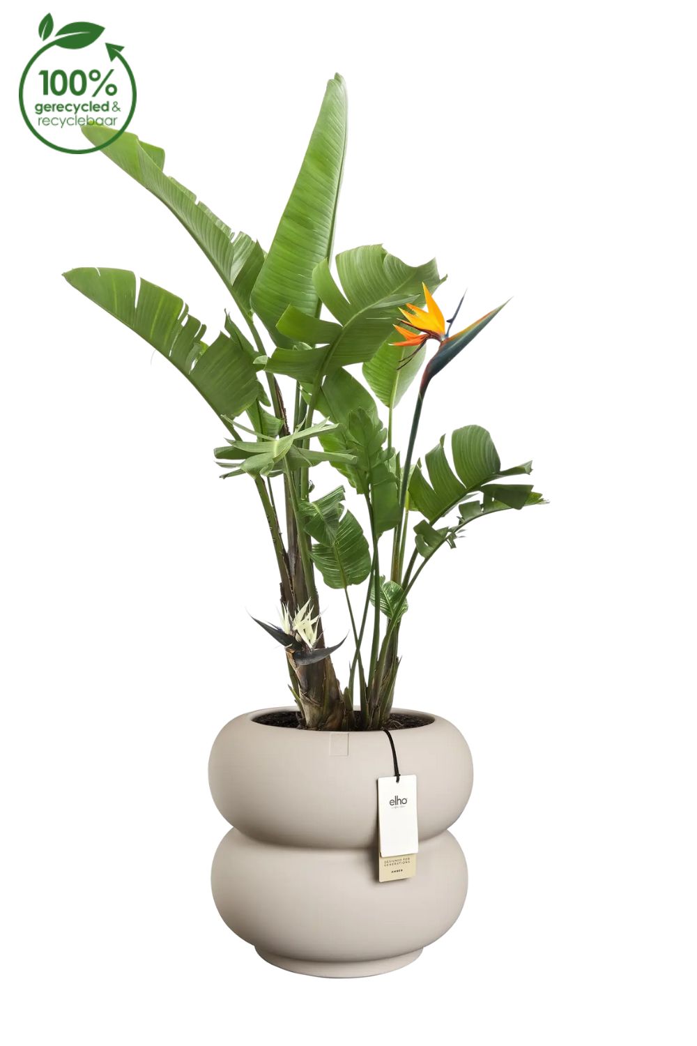 Pot de fleur Elho Amber Roll Low 40cm Beige Équilibré