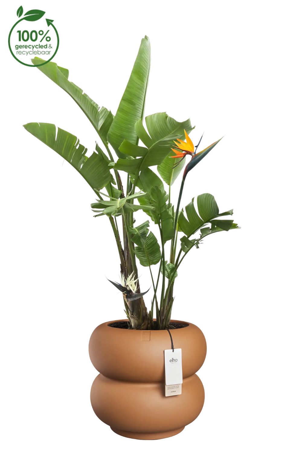 Pot de fleur Elho Amber Roll Low 40cm Caramel