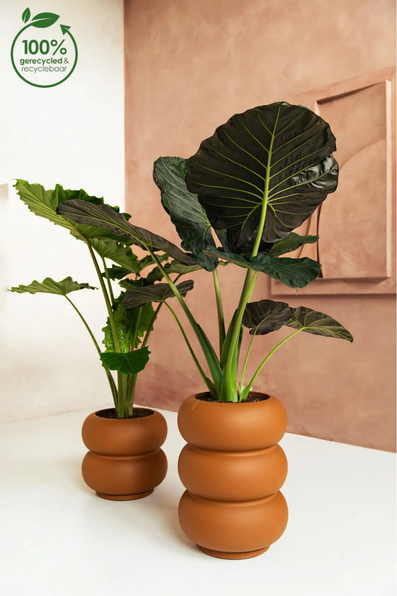 Pot de fleur Elho Amber Roll High 58cm Caramel