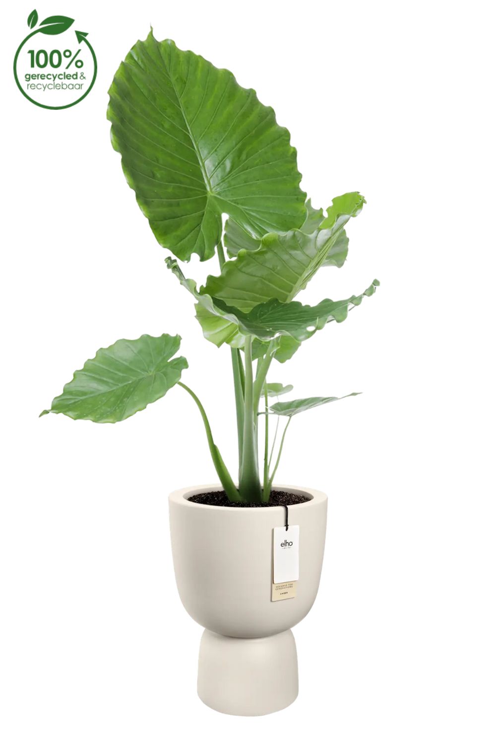 Pot de fleur Elho Amber Coupe 35cm Lin Blanc