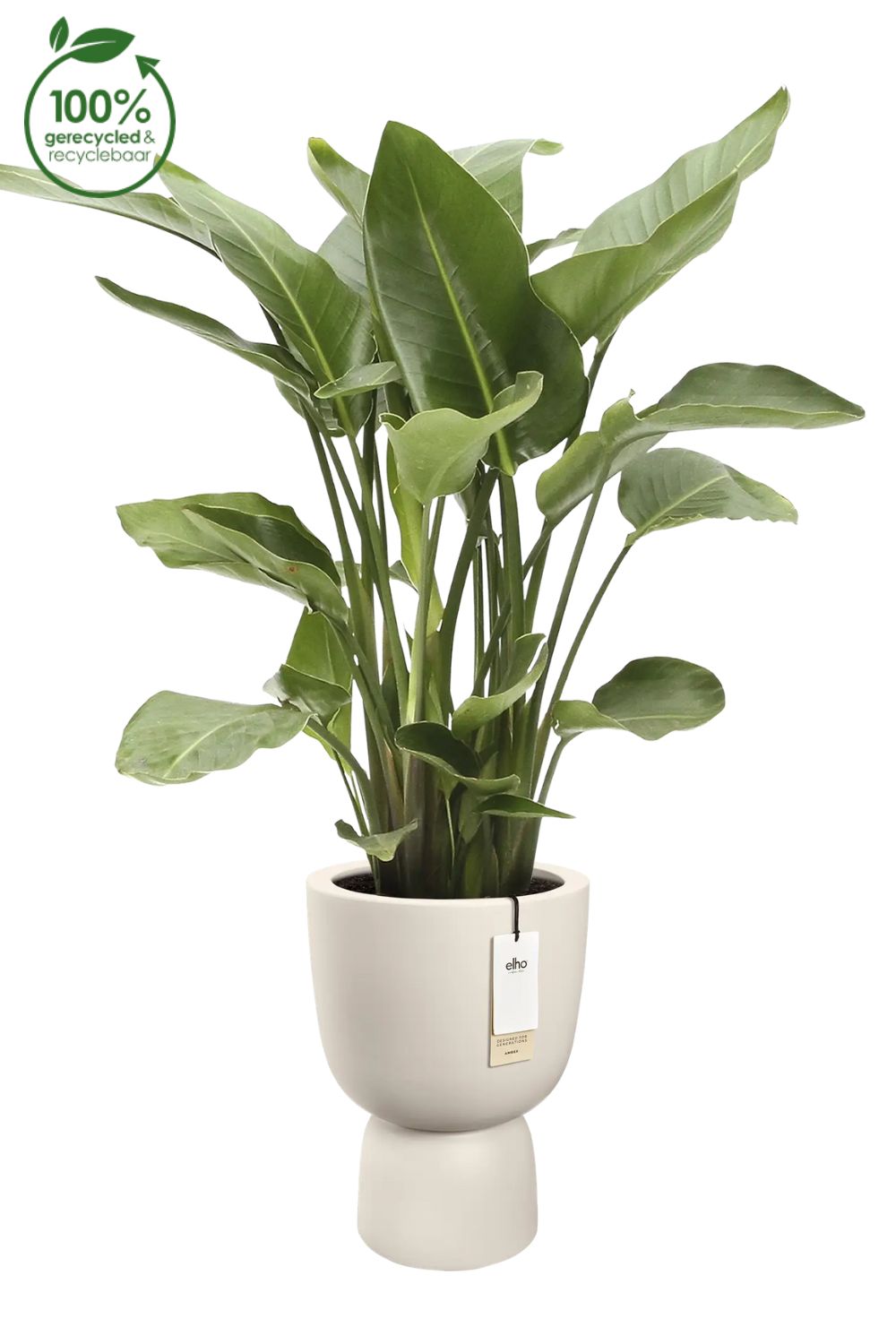 Pot de fleur Elho Amber Coupe 35cm Lin Blanc
