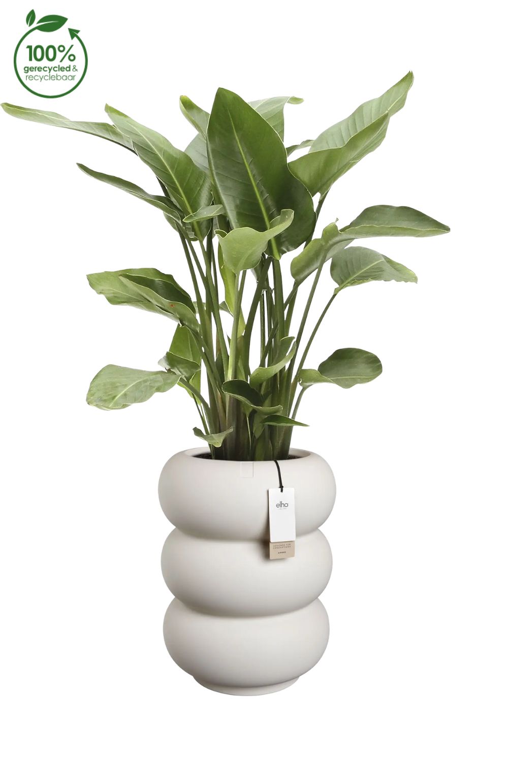 Pot de fleur Elho Amber Roll High 58cm Blanc Lin