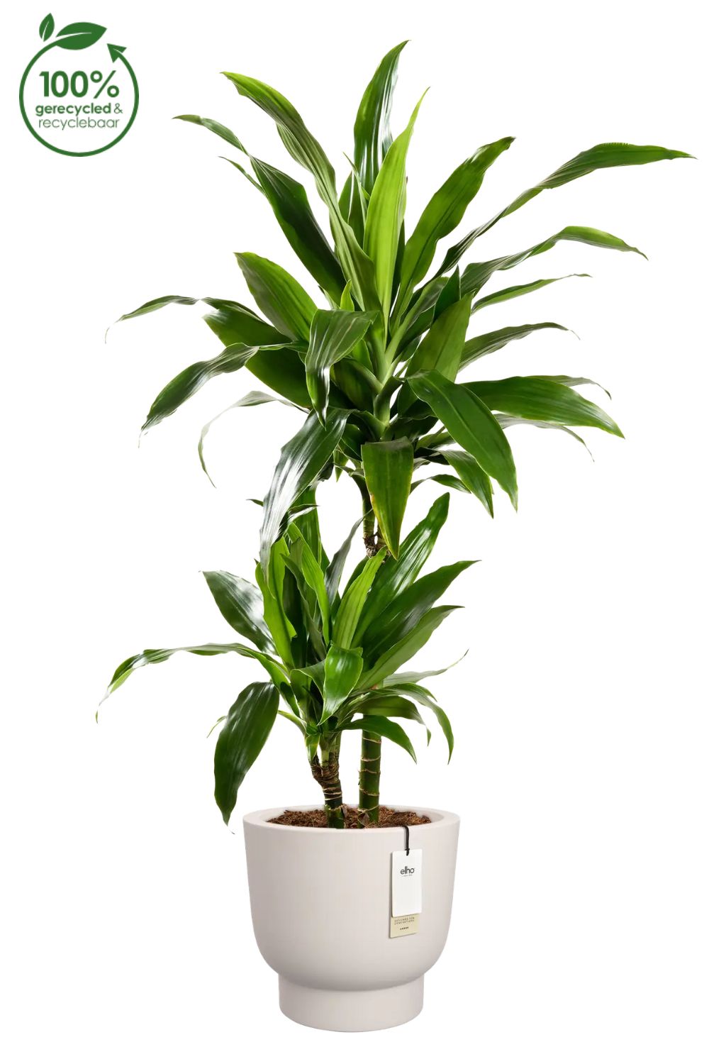 Pot de fleur Elho Amber Grail 30 cm Lin Blanc