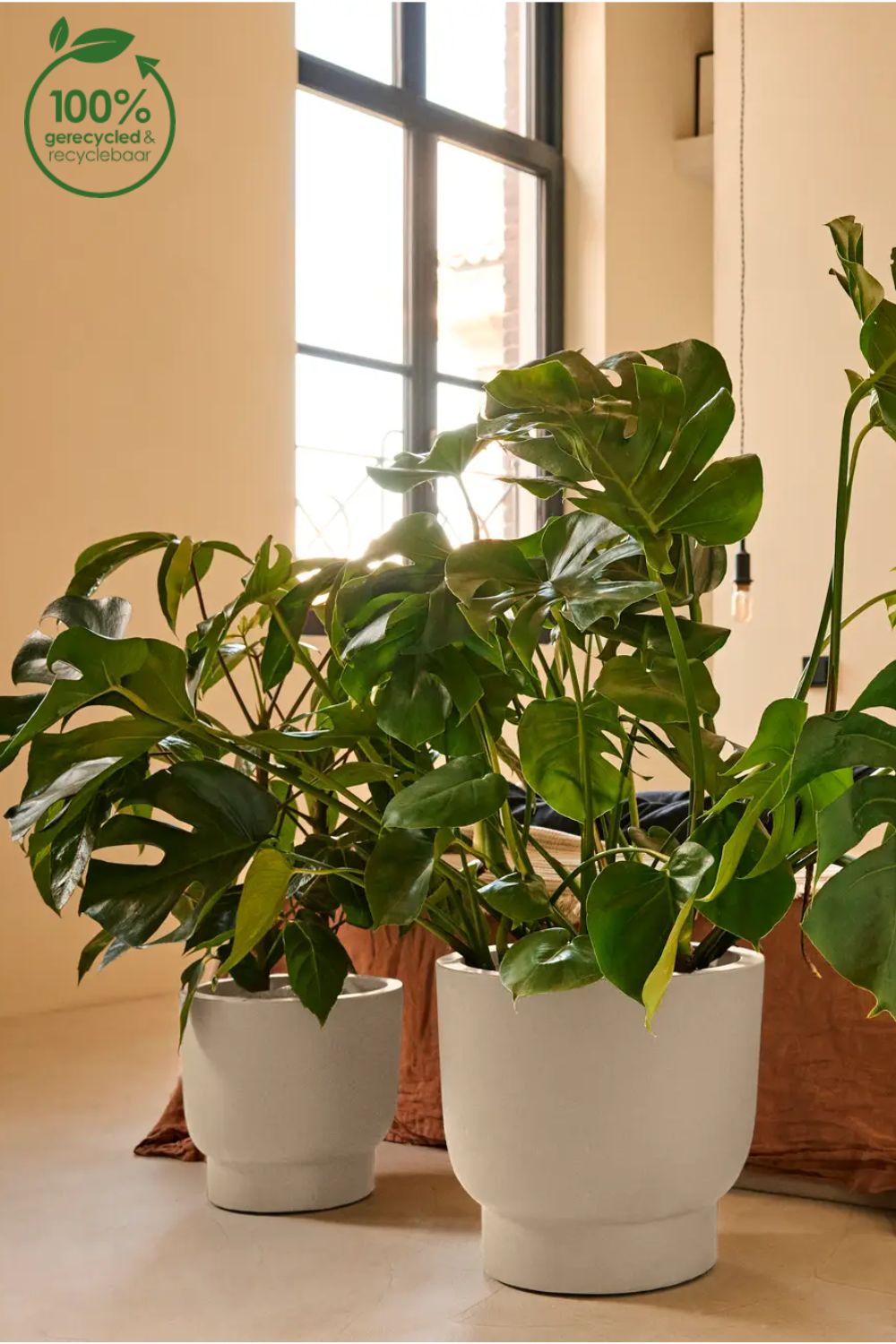 Photo d'ambiance du Pot de fleur Elho Amber Grail 30 cm Lin Blanc