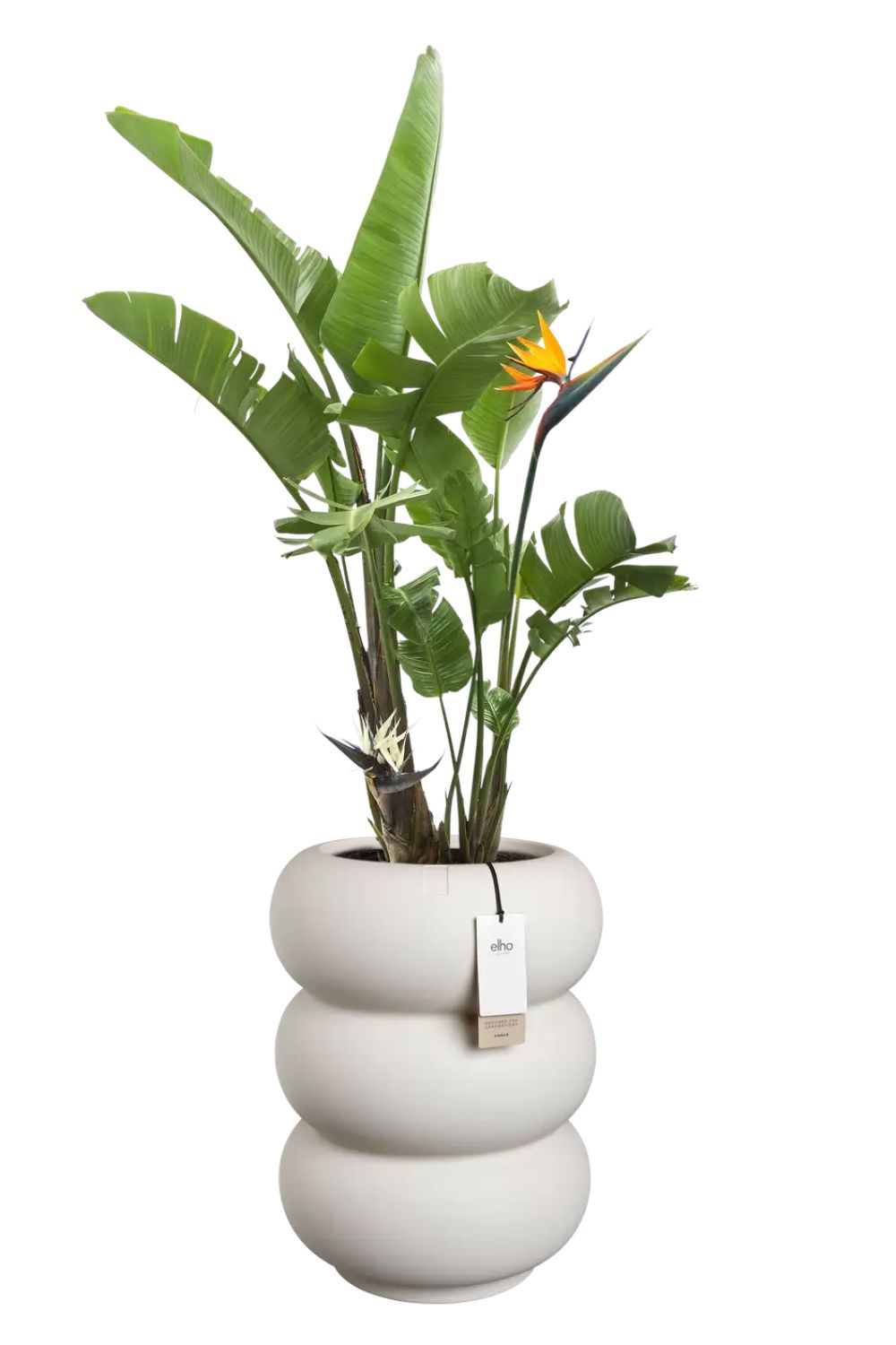 Pot de fleur Elho Amber Roll High 58cm Blanc Lin
