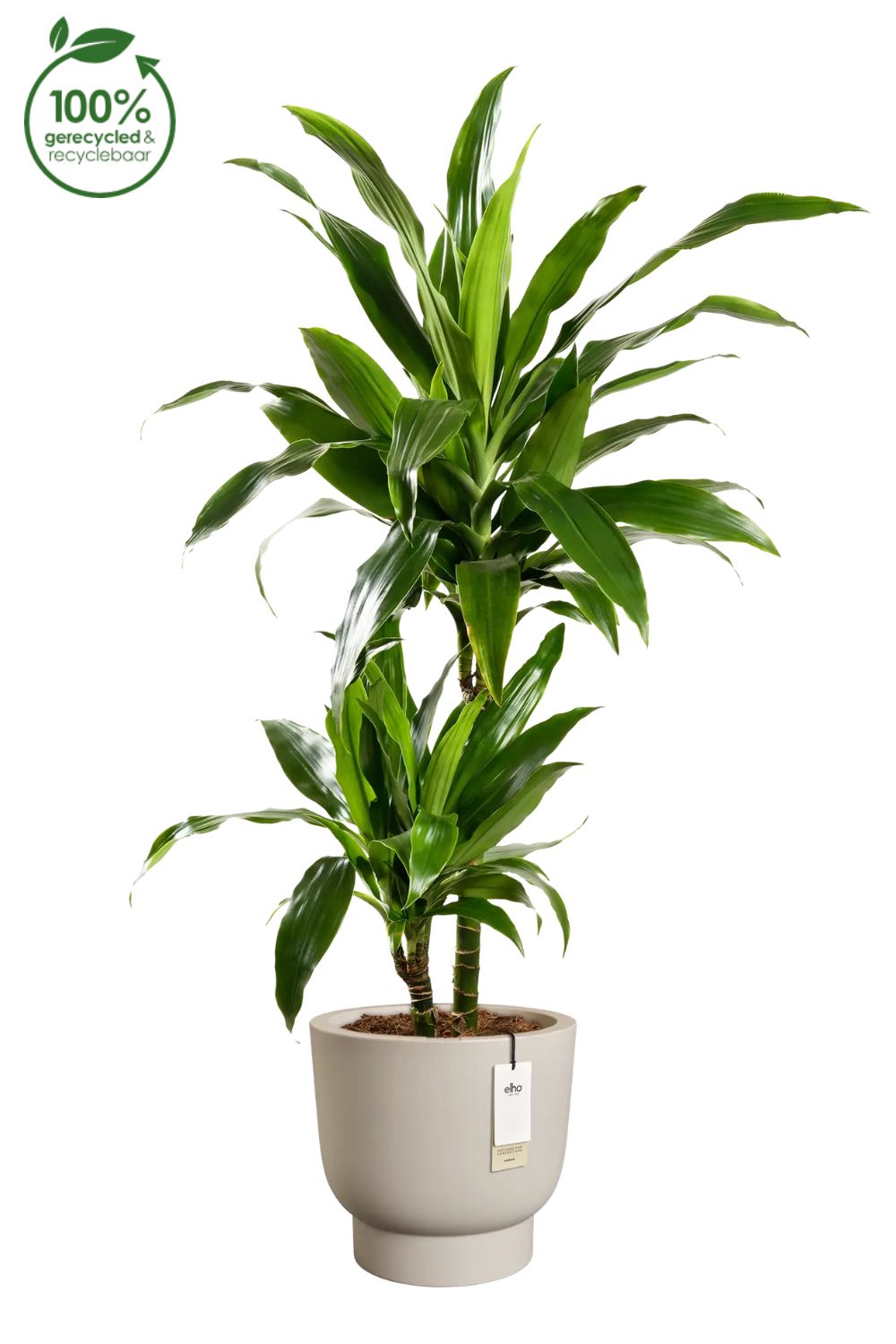 Pot de fleur Elho Amber Grail 38cm Balanced Beige