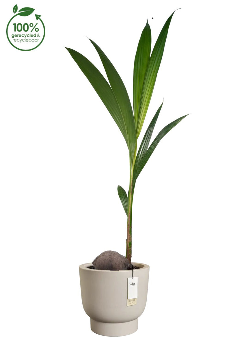 Pot de fleur Elho Amber Grail 30cm Beige Balanced