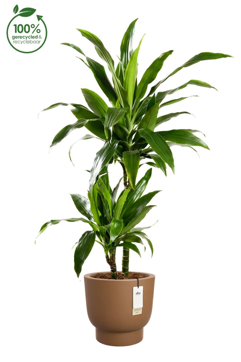 Pot de fleur Elho Amber Grail 38cm Caramel
