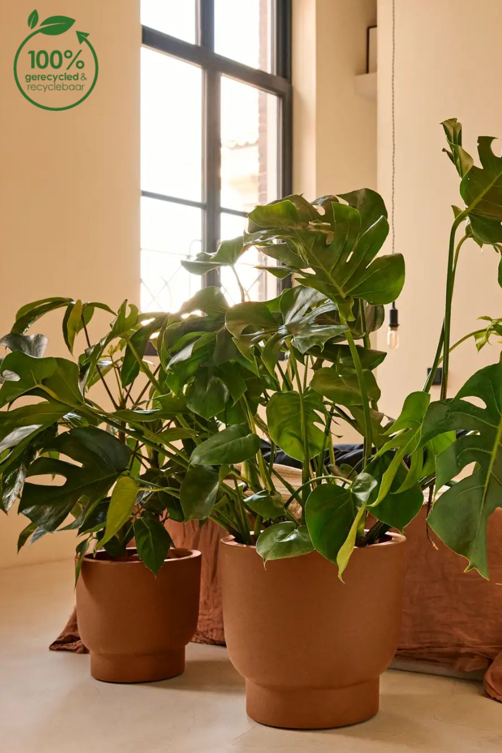 Photo d'ambiance du Pot de fleur Elho Amber Grail 30cm Caramel