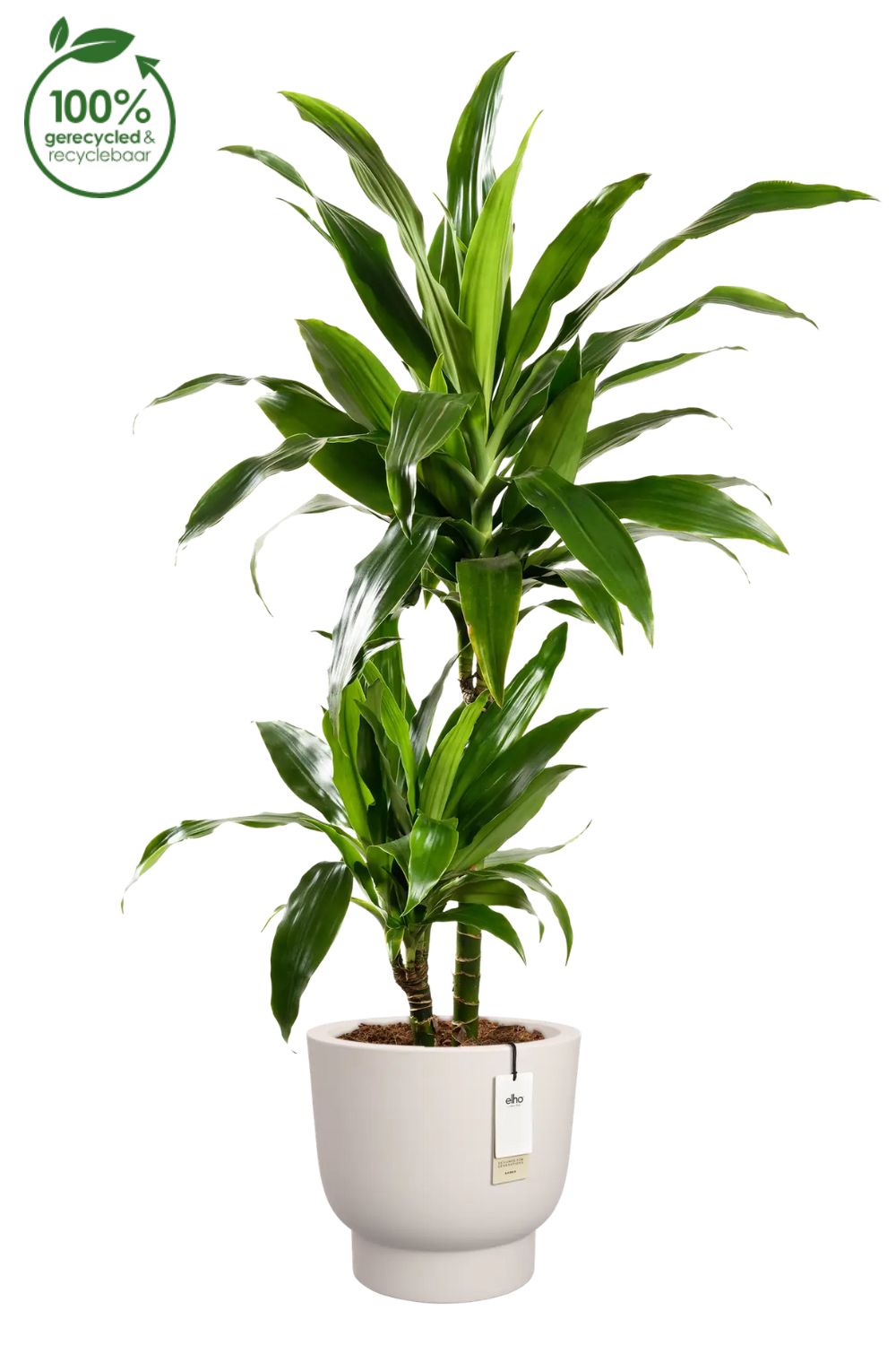 Pot de fleur Elho Amber Grail 38 cm Lin Blanc