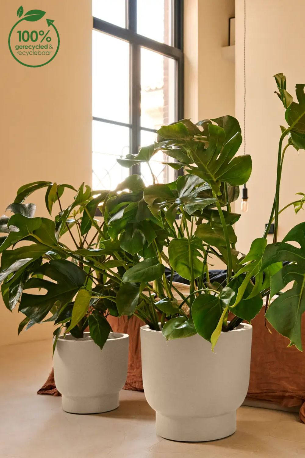 Photo d'ambiance du Pot de fleur Elho Amber Grail 38 cm Lin Blanc