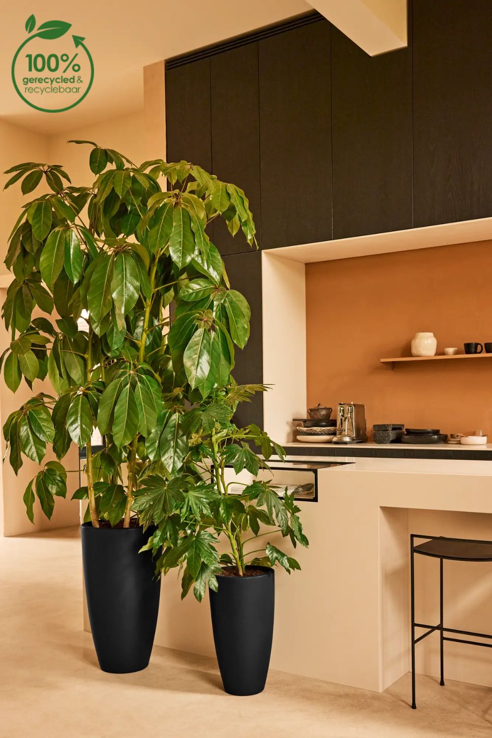 Photo d'ambiance du Pot de fleur Elho June Round High 30 cm Noir