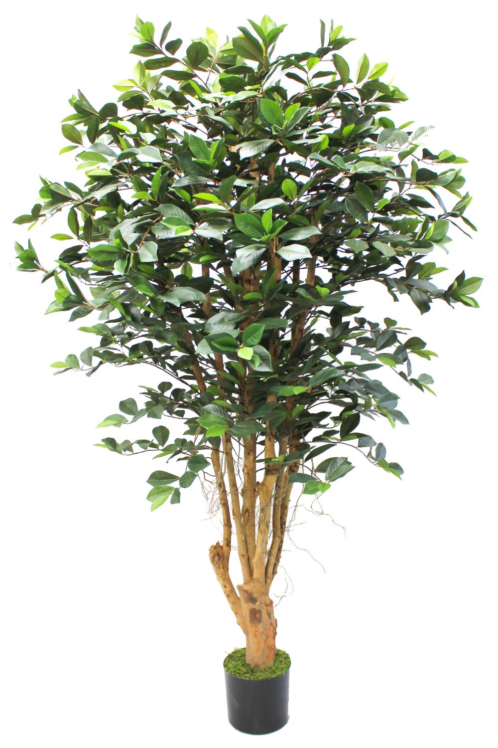 Ficus artificiel 180 cm