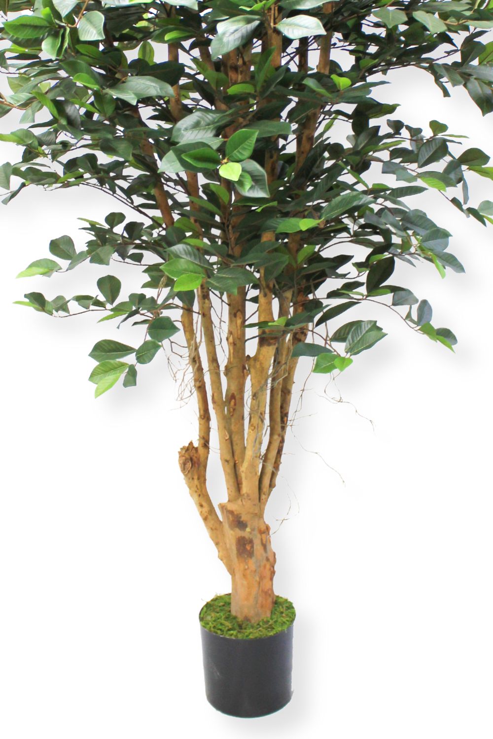 Ficus artificiel 180 cm