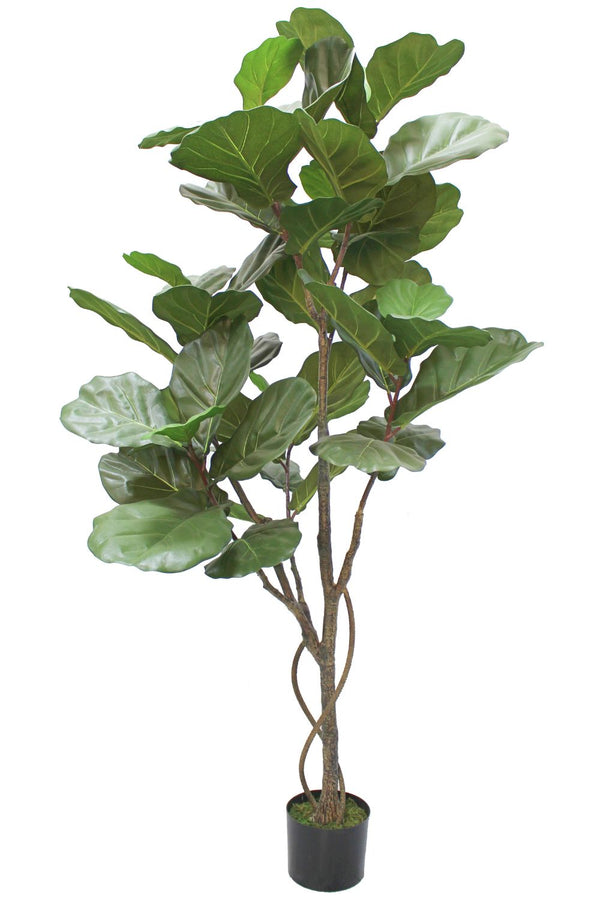 Précommande Ficus Lyrata Artificiel 180 cm (mi-mai)